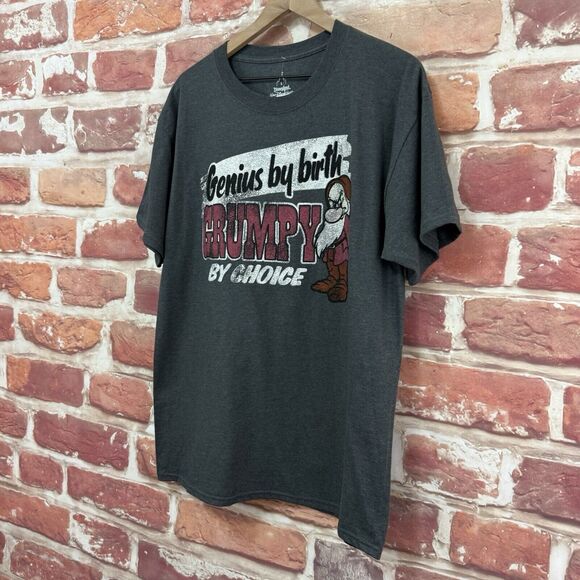 Disney T Shirt Women's Men's Large Gray Genius Grumpy Snow White Seven 7 Dwarfs - Picture 3 of 8